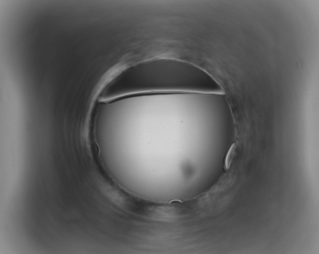 X0000114060104200910051003