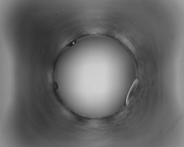 X0000114060105200910051003