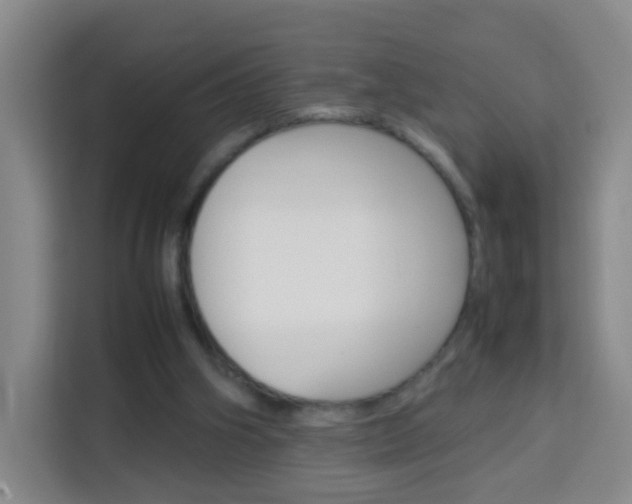 X0000114060106200910051003