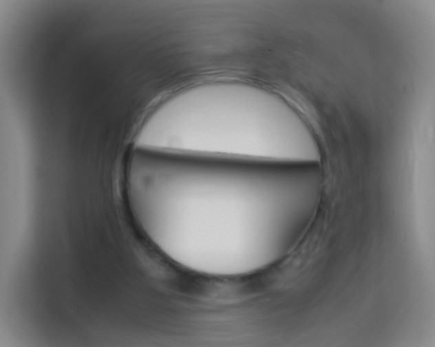X0000114060107200910051003