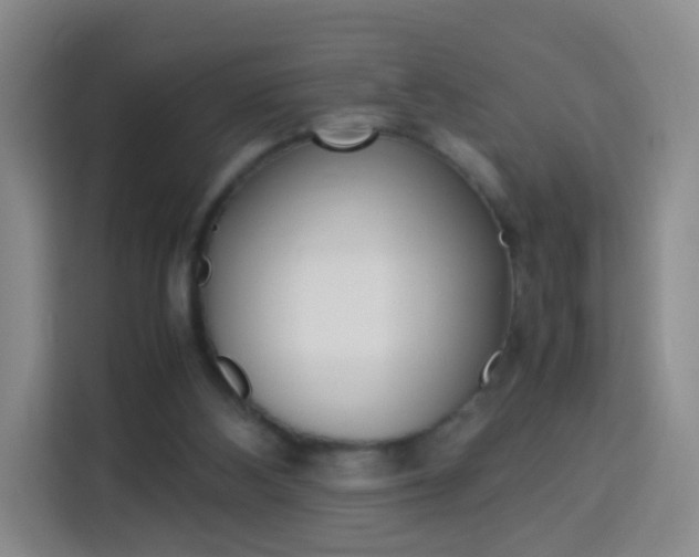 X0000114060108200910051003