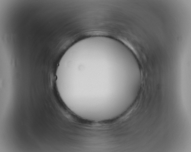 X0000114060109200910051003