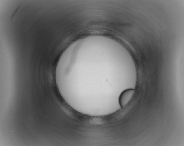 X0000114060114200910051003