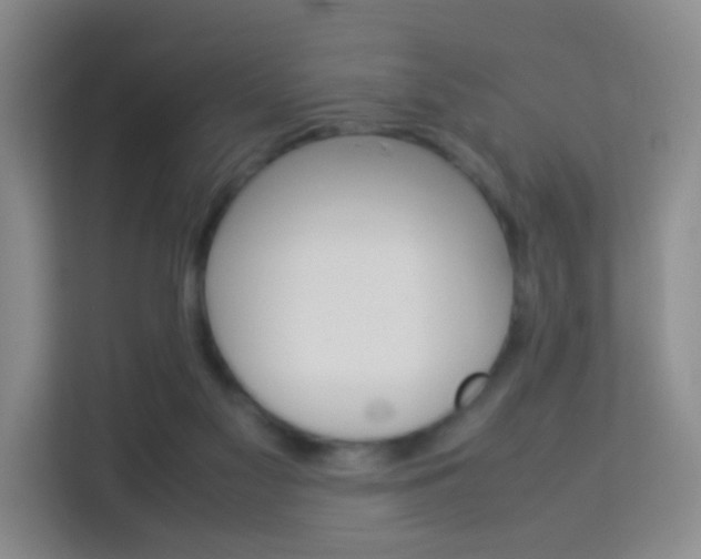 X0000114060117200910051003
