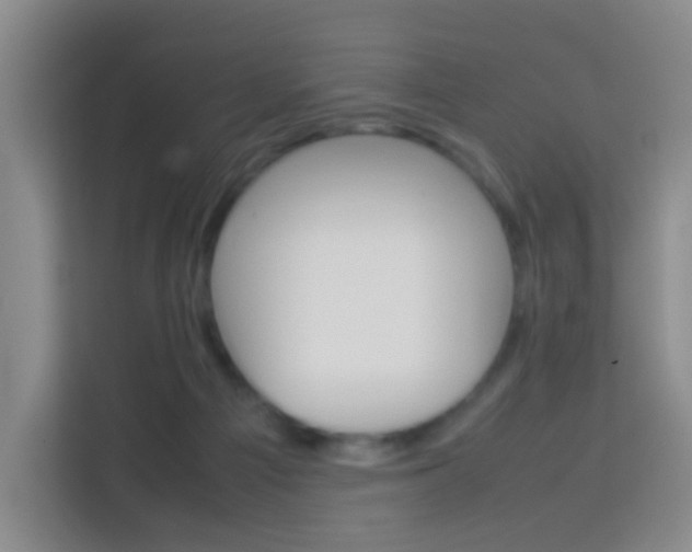X0000114060121200910051003
