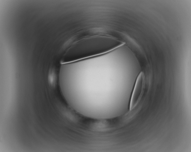 X0000114060124200910051003