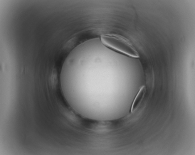 X0000114060128200910051003