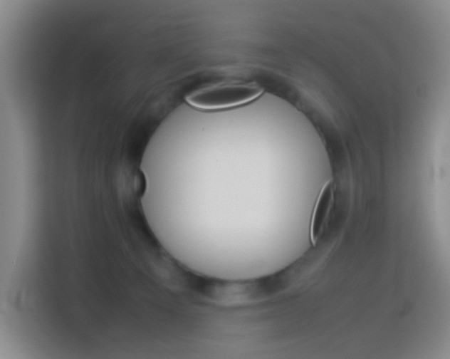 X0000114060129200910051003