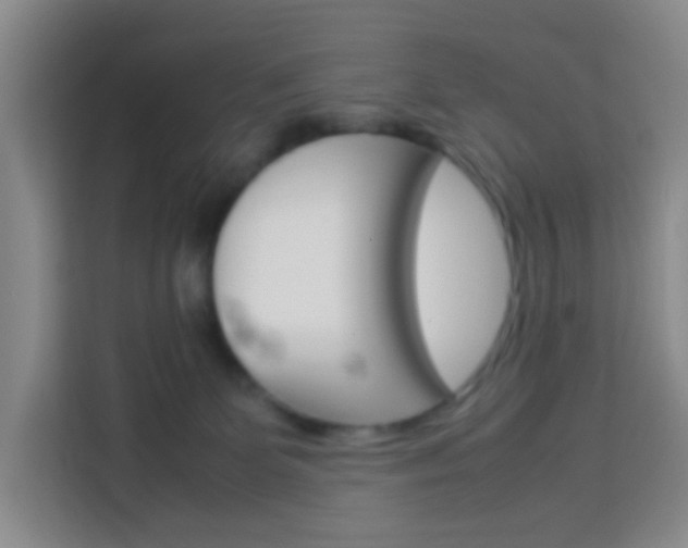 X0000114060131200910051003
