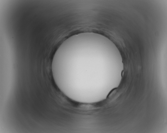 X0000114060133200910051003
