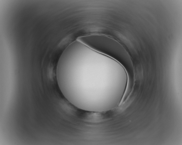 X0000114060140200910051003