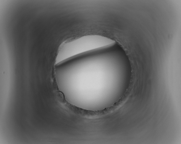 X0000114060144200910051003