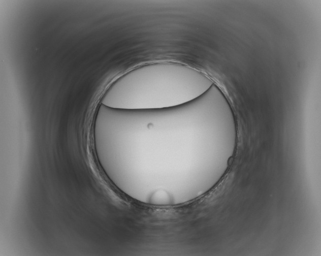X0000114060145200910051002