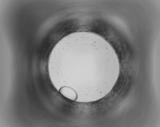 X0000114060146200910051002