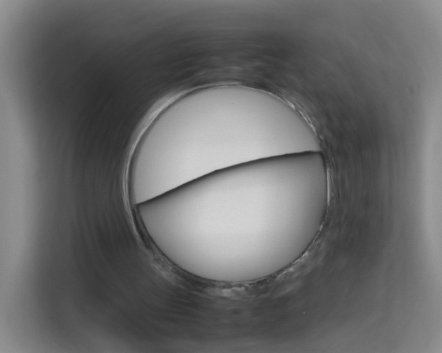 X0000114060147200910051002