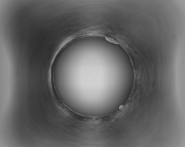 X0000114060148200910051002