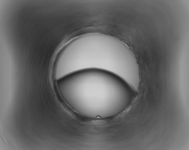 X0000114060150200910051002