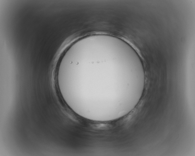X0000114060151200910051002