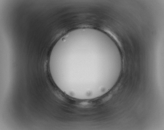 X0000114060153200910051002