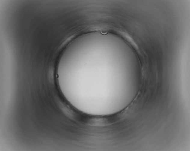 X0000114060154200910051002