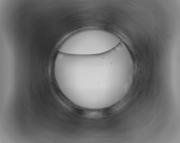 X0000114060155200910051002