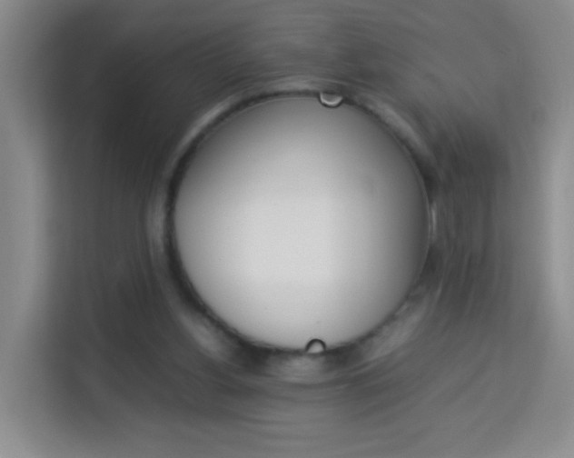 X0000114060156200910051002