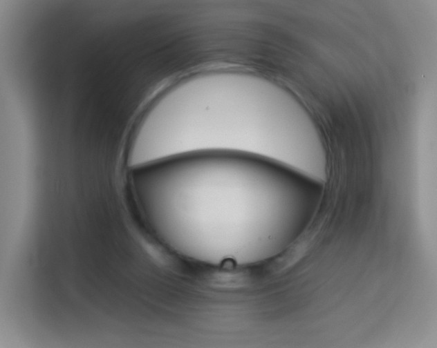 X0000114060160200910051002