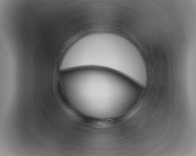 X0000114060164200910051002
