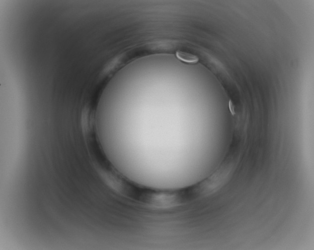 X0000114060168200910051002