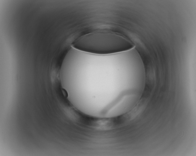 X0000114060172200910051002