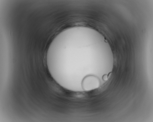 X0000114060175200910051002