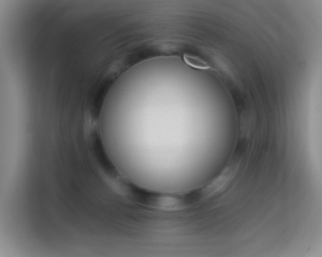 X0000114060176200910051003