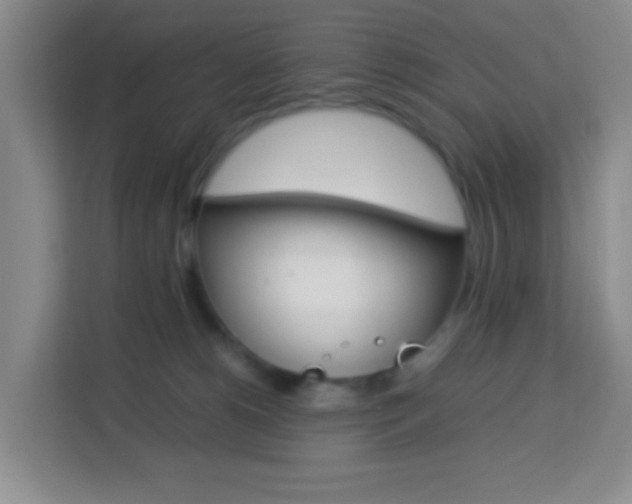 X0000114060180200910051003