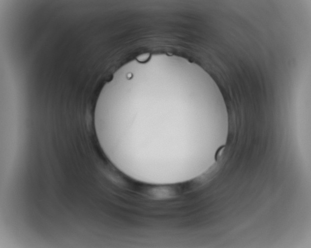 X0000114060183200910051003