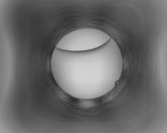 X0000114060185200910051003