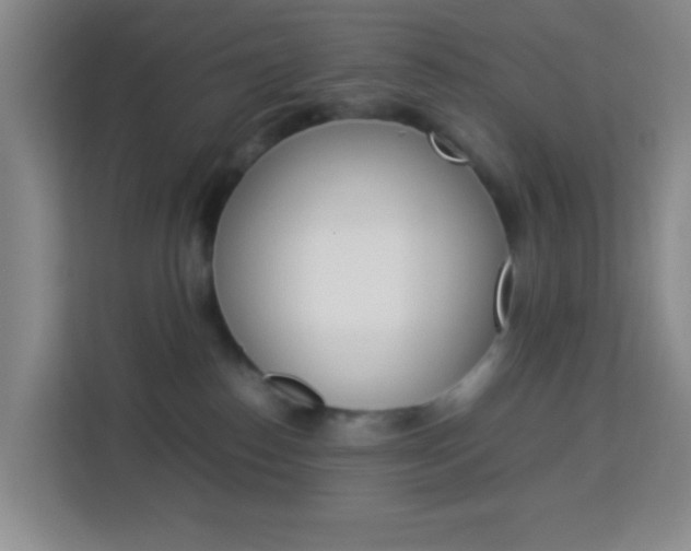 X0000114060186200910051003