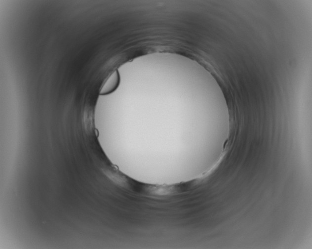 X0000114060191200910051003
