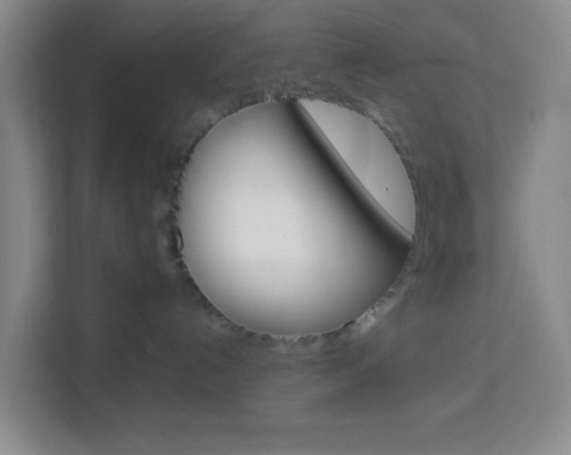 X0000114060192200910051003