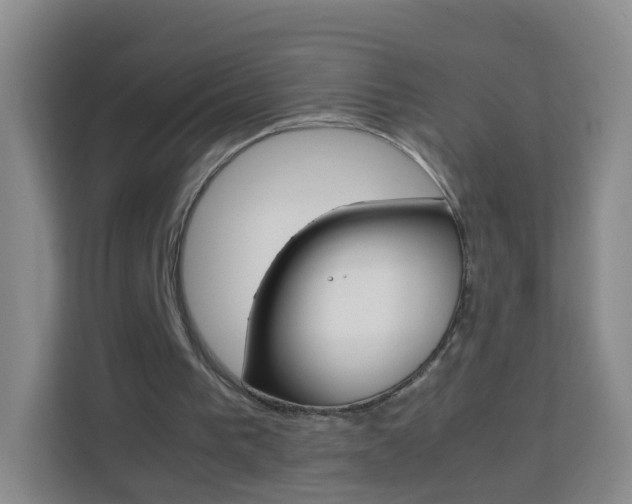 X0000114060193200910051002