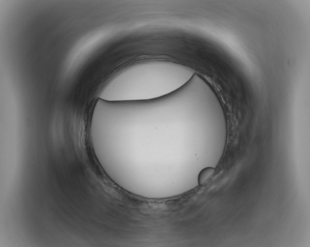 X0000114060194200910051002