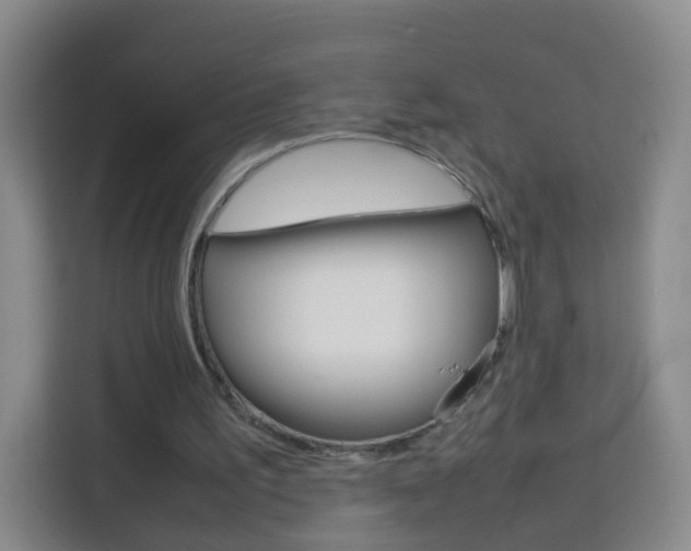 X0000114060195200910051002