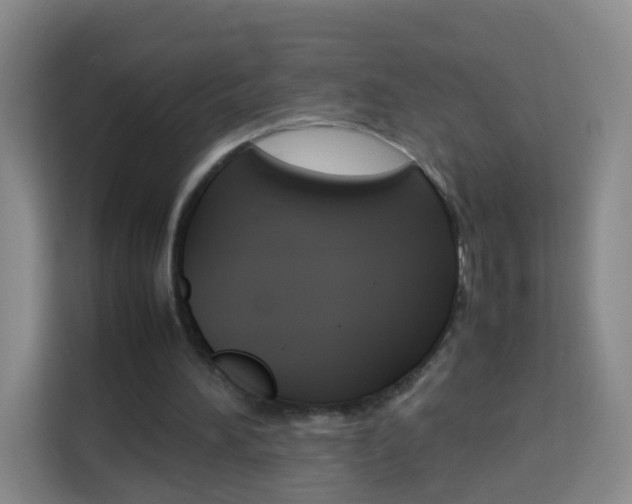 X0000114060196200910051002