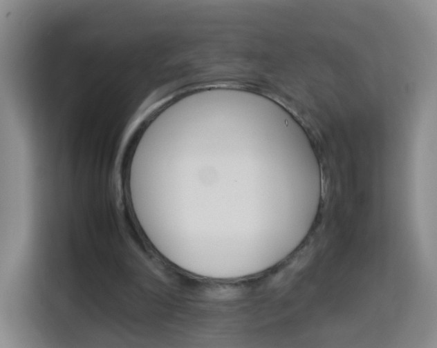 X0000114060198200910051002