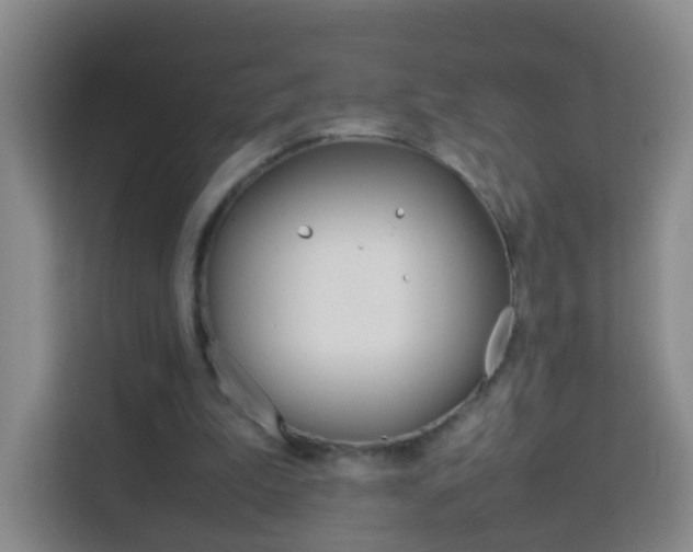 X0000114060199200910051002