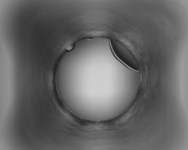 X0000114060201200910051002