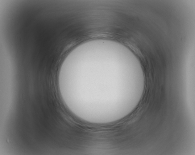 X0000114060207200910051002