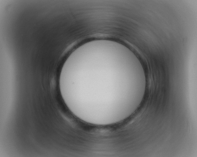 X0000114060208200910051002