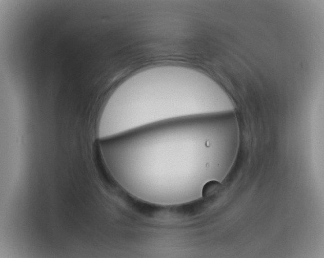 X0000114060211200910051002
