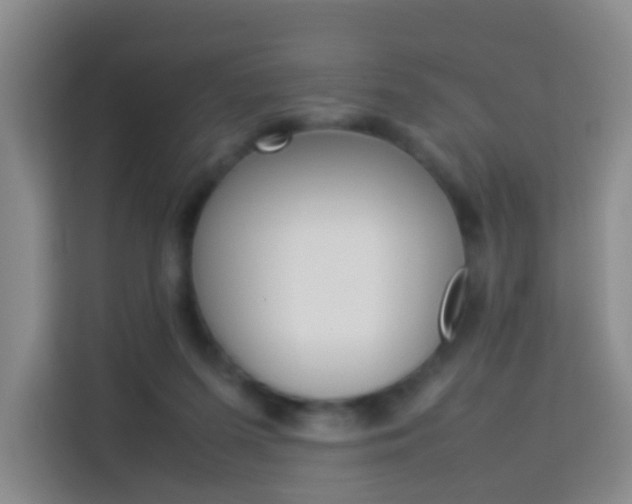 X0000114060215200910051002