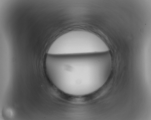 X0000114060217200910051002